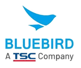 Bluebird